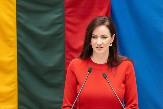 立陶宛终于知道错了？其实是这么个情况！