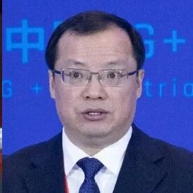 中国航空工业集团原董事长周新民、知名核动力专家罗琦、核武器专家刘仓理，被罢免全国人大代表职务！罗琦曾参与研发“华龙一号”