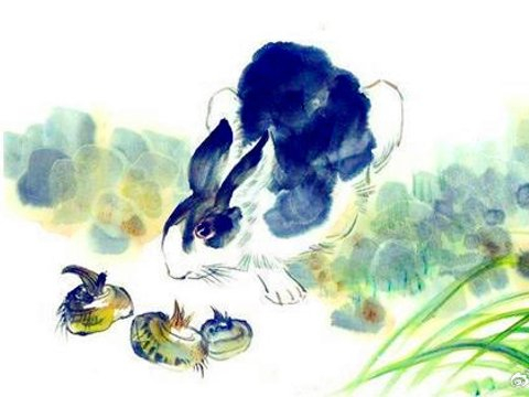 年龄越大越有福气，马年一整年家庭和事业达到巅峰的四个生肖