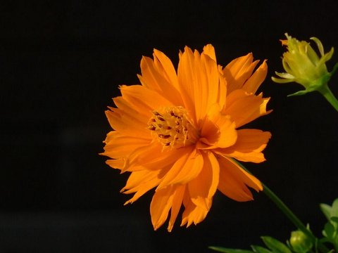 珍惜亲情和友情，马年变得越来越有钱的四个星座，到处是贵人