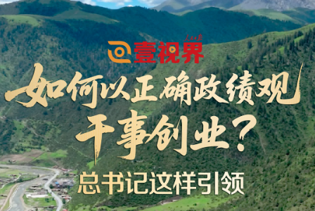 壹视界·微视频丨如何以正确政绩观干事创业？总书记这样引领