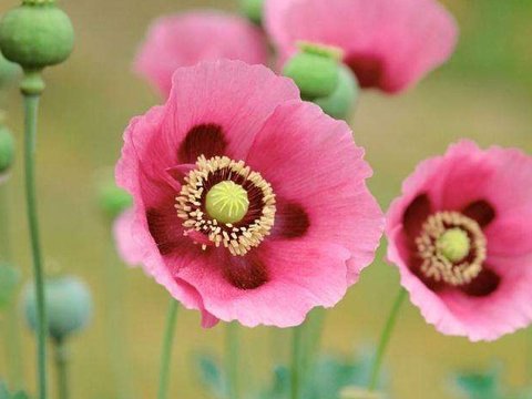 家庭和事业两全其美，年底前顺利从辛苦中解脱出来的四个星座