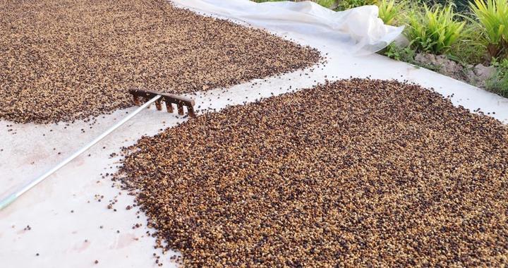 拼多多“千亿扶持”半年成果：优质供给深入更多地区，高质量生态格局初步成型