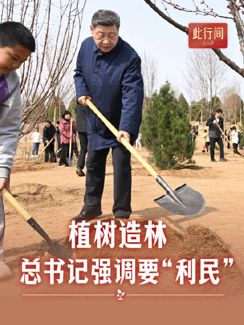 此行间·植树造林，总书记强调要“利民”