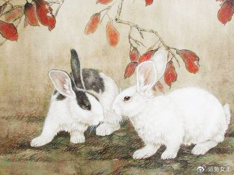 为人厚道，2026年家庭和事业美好的四个生肖