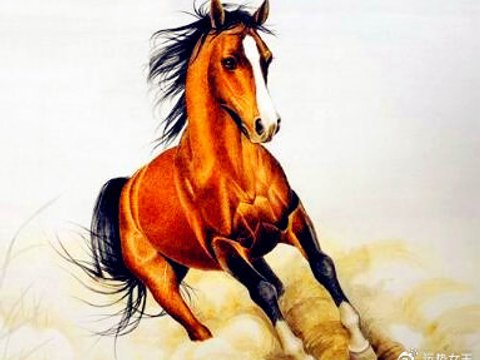 性格大气好相处，4月开始善缘满地，赚钱容易的四个生肖