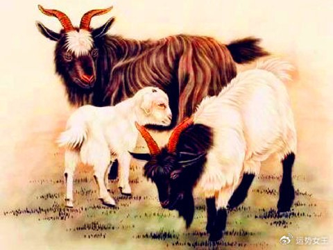 以德服人，收获进步，4月到5月没有一天缺钱，幸运常在的生肖